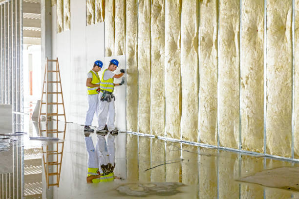 Best Spray Foam Insulation  in Olmsted Falls, OH